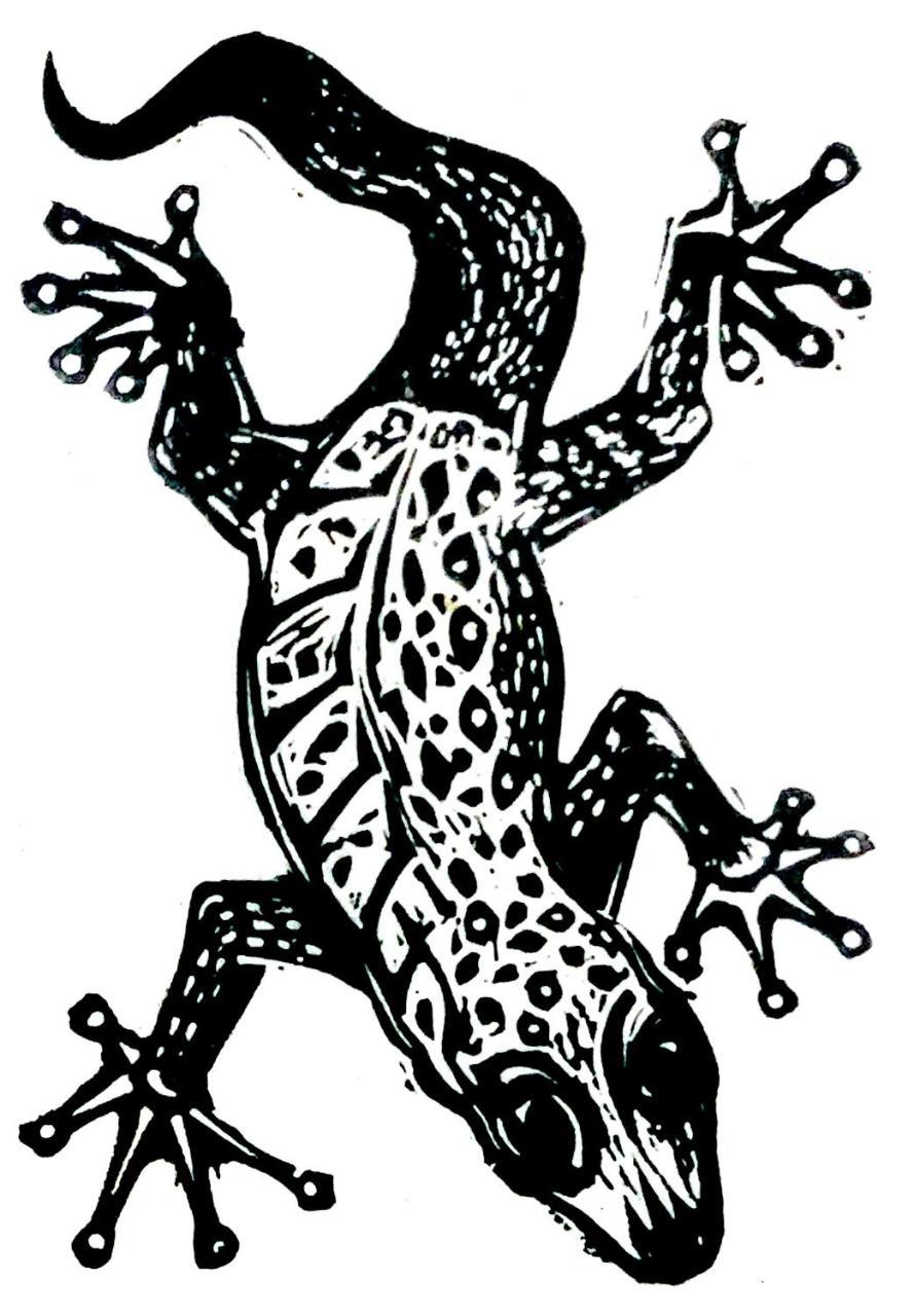 Gecko Guest House Cooktown Luaran gambar